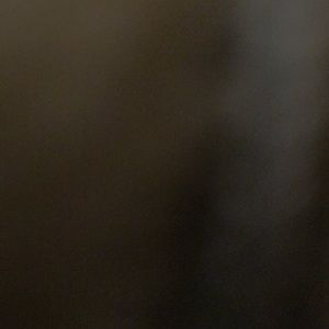 Meet your Posher, Brooklyn